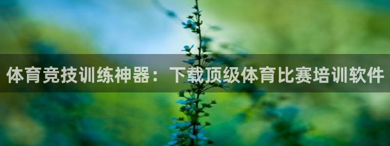 耀世天下网名好吗：体育竞技训练神器：下载顶级体育比赛