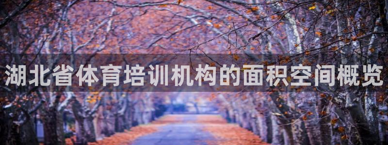 耀世平台注册步骤：湖北省体育培训机构的面积空间概览