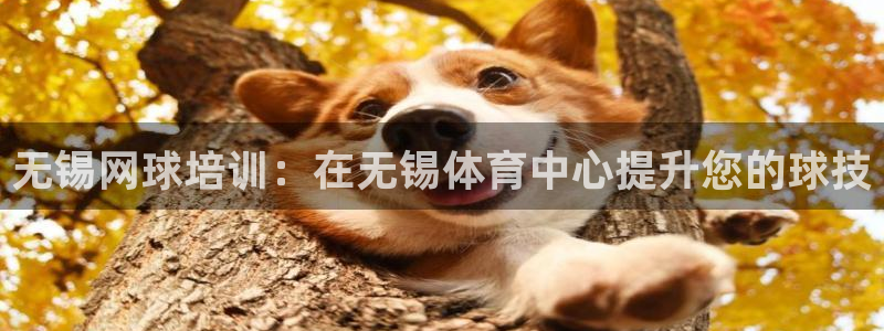 耀世微光歌曲下载：无锡网球培训：在无锡体育中心提升您