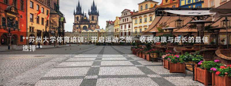 耀世金生产品介绍：**苏州大学体育培训：开启运动之旅