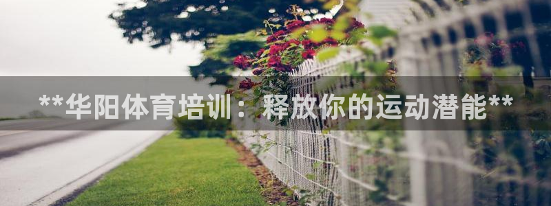耀世平台木 5o69I7：**华阳体育培训：释放你的