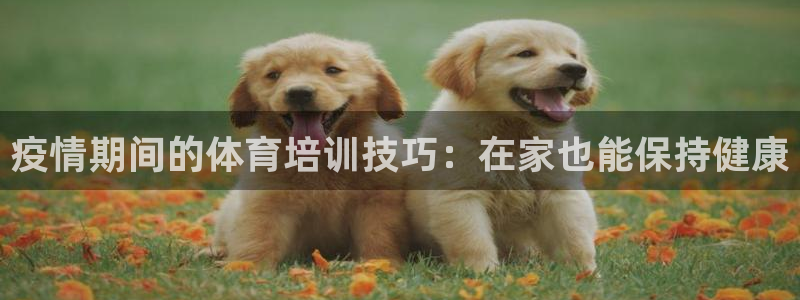 耀世燃气灶是哪个牌子：疫情期间的体育培训技巧：在家也