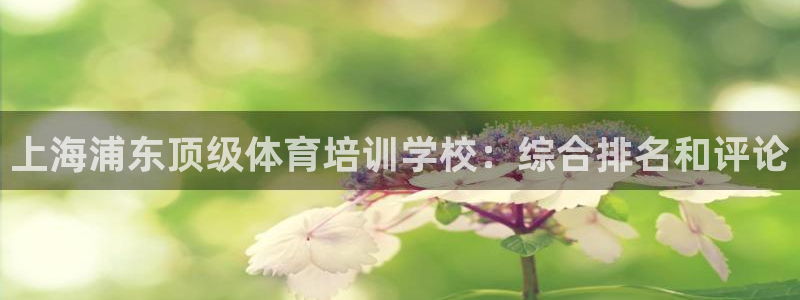 耀世娱乐能提现吗现在怎么样：上海浦东顶级体育培训学校