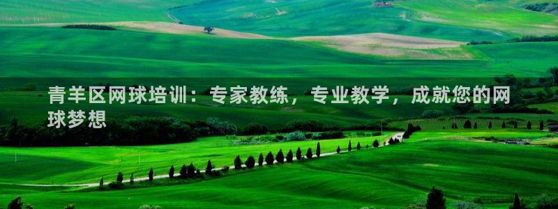 耀世捷科技：青羊区网球培训：专家教练，专业教学，成就