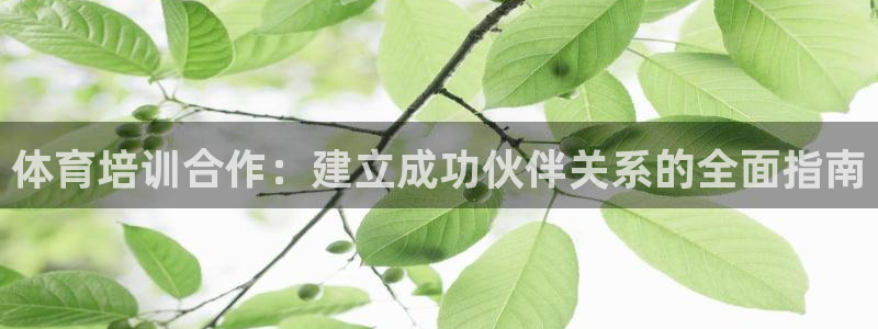 耀世平台注册：体育培训合作：建立成功伙伴关系的全面指