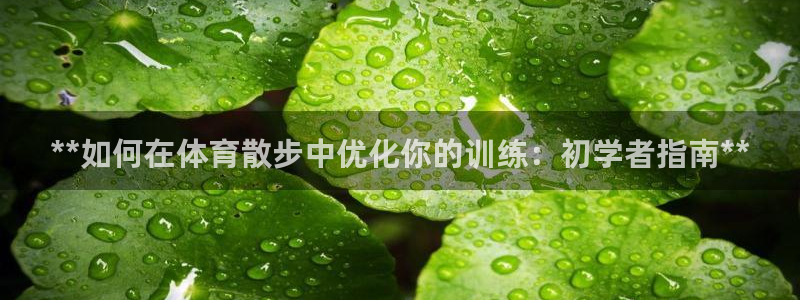 耀世娱乐是不是赚钱快：**如何在体育散步中优化你的训