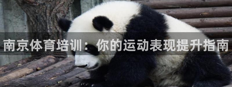 耀世平台注册链接怎么打开：南京体育培训：你的运动表现