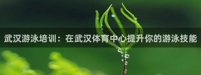 耀世平台管 411O31 平台：武汉游泳培训：在武汉