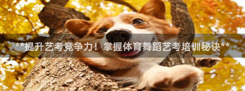 四川耀世发展集团：**提升艺考竞争力！掌握体育舞蹈艺