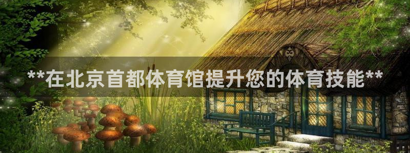 耀世国际平台正规吗可信吗：**在北京首都体育馆提升您