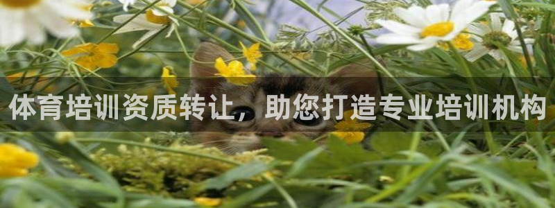 耀世娱乐是正规还是仿真：体育培训资质转让，助您打造专