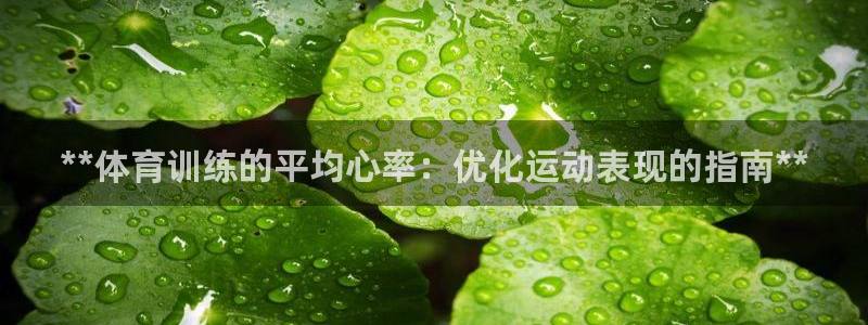 耀世兵权：**体育训练的平均心率：优化运动表现的指南