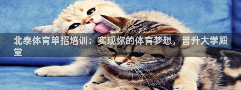 耀世平台负责人：北泰体育单招培训：实现你的体育梦想，