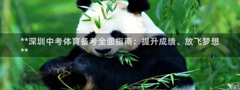 耀世成语