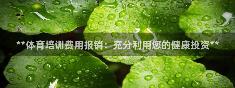 耀世集团视频介绍：**体育培训费用报销：充分利用您的