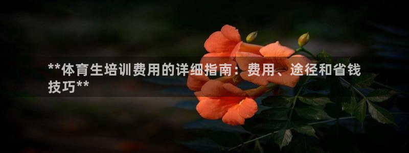 耀世娱乐百科百度：**体育生培训费用的详细指南：费用
