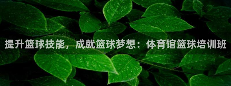 耀世平台登录地址是什么：提升篮球技能，成就篮球梦想：