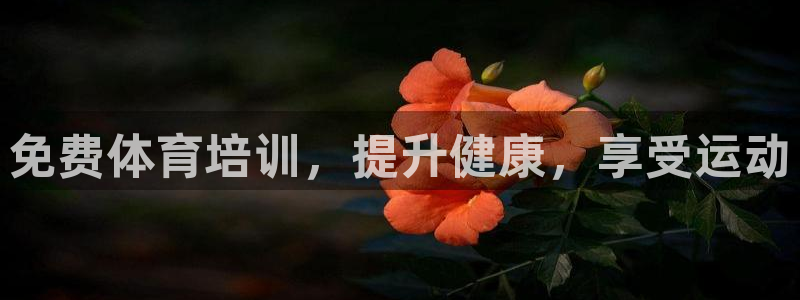 耀世国际平台正规吗安全吗：免费体育培训，提升健康，享