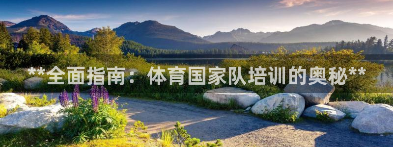 耀世娱乐软件下载官网：**全面指南：体育国家队培训的