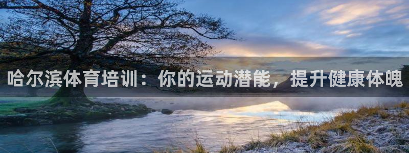耀世娱乐挂机脚本怎么用：哈尔滨体育培训：你的运动潜能