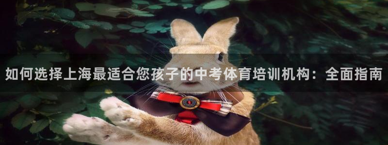 耀世娱乐平台注册地址在哪里查：如何选择上海最适合您孩