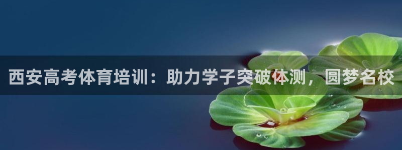 耀世娱乐辅助软件下载官网：西安高考体育培训：助力学子