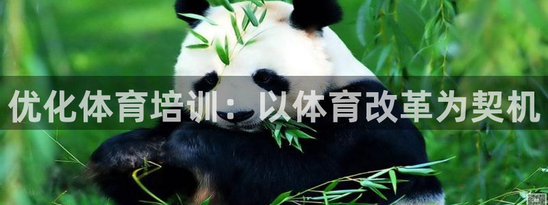 耀世平台注册步骤图片：优化体育培训：以体育改革为契机