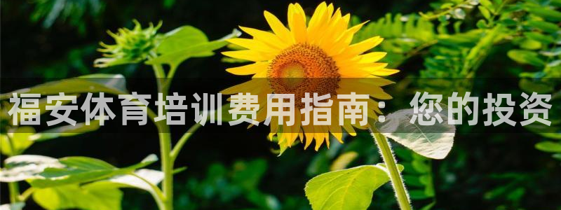 耀世平台注册步骤微博：福安体育培训费用指南：您的投资