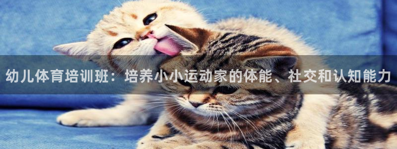 耀世娱乐注册登陆：幼儿体育培训班：培养小小运动家的体