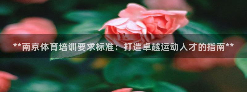 耀世盛典官网下载：**南京体育培训要求标准：打造卓越