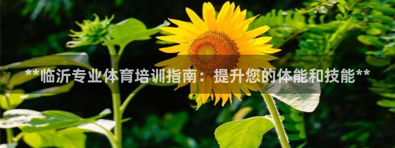 耀世娱乐下载最新版本安装包大全：**临沂专业体育培训