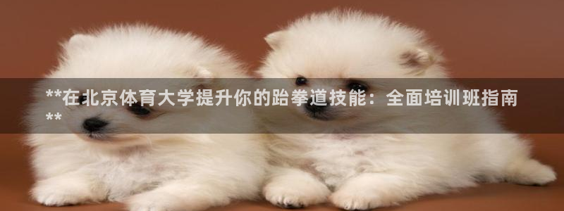耀世娱乐注册账号：**在北京体育大学提升你的跆拳道技