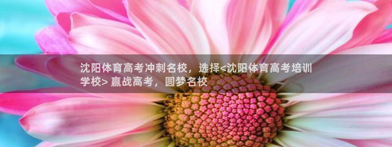 耀世辉煌：沈阳体育高考冲刺名校，选择<沈阳体育高考培