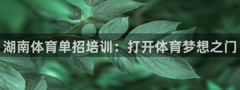 耀世平台易 411031 耀世：湖南体育单招培训：打