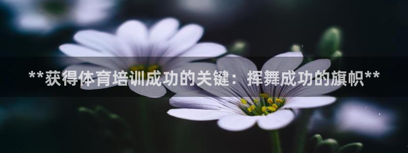 耀世平台代理怎么做任务：**获得体育培训成功的关键：