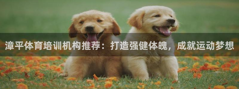 耀世娱乐是玛雅旗下的吗：漳平体育培训机构推荐：打造强