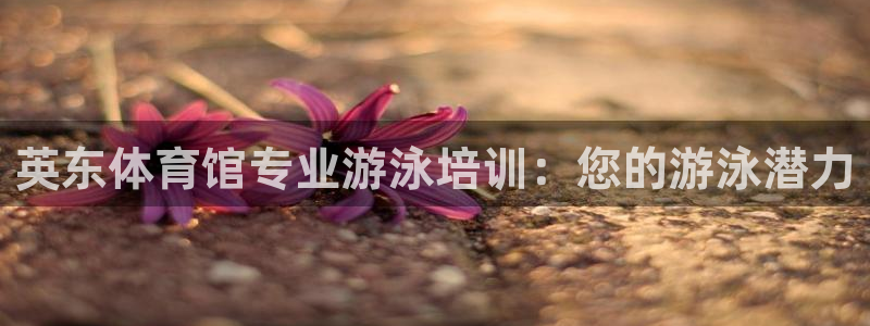 耀世娱乐的4.9.4.0.3 天乐：英东体育馆专业游
