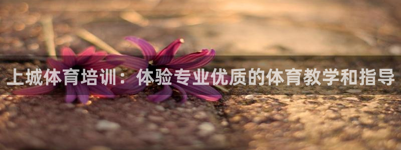 耀世圣主：上城体育培训：体验专业优质的体育教学和指导