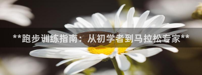 耀世天下图片大全：**跑步训练指南：从初学者到马拉松专家**