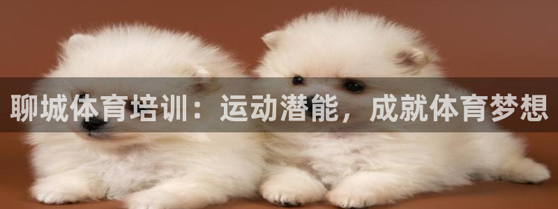 耀世平台将7O777：聊城体育培训：运动潜能，成就体