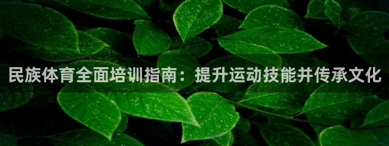 耀世娱乐老板是哪里人：民族体育全面培训指南：提升运动