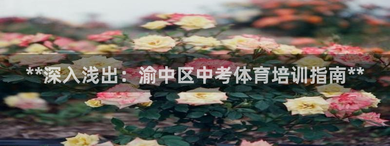 耀世平台注册最新地址查询：**深入浅出：渝中区中考体