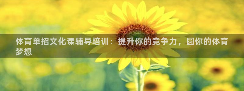 耀世娱乐提款多久到账啊：体育单招文化课辅导培训：提升