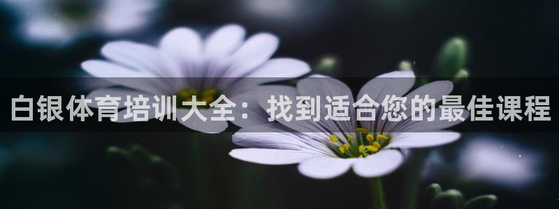 耀世娱乐代理什么待遇可以做：白银体育培训大全：找到适