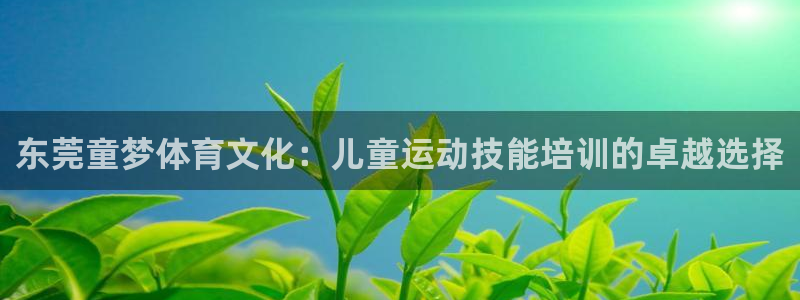 耀世平台梦 5O6917 平台：东莞童梦体育文化：儿