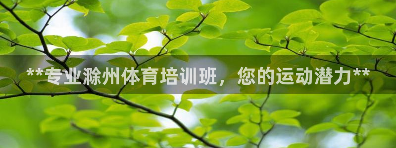 耀世挑战第3关怎么过：**专业滁州体育培训班，您的运