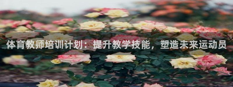 耀世集团商业联盟招聘：体育教师培训计划：提升教学技能，塑造未