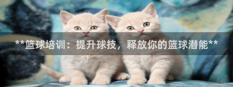 耀世娱乐合法吗：**篮球培训：提升球技，释放你的篮球潜能**