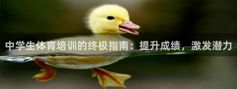 耀世平台的运营模式分析：中学生体育培训的终极指南：提升成绩，