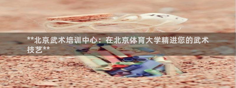 耀世登场：**北京武术培训中心：在北京体育大学精进您的武术
